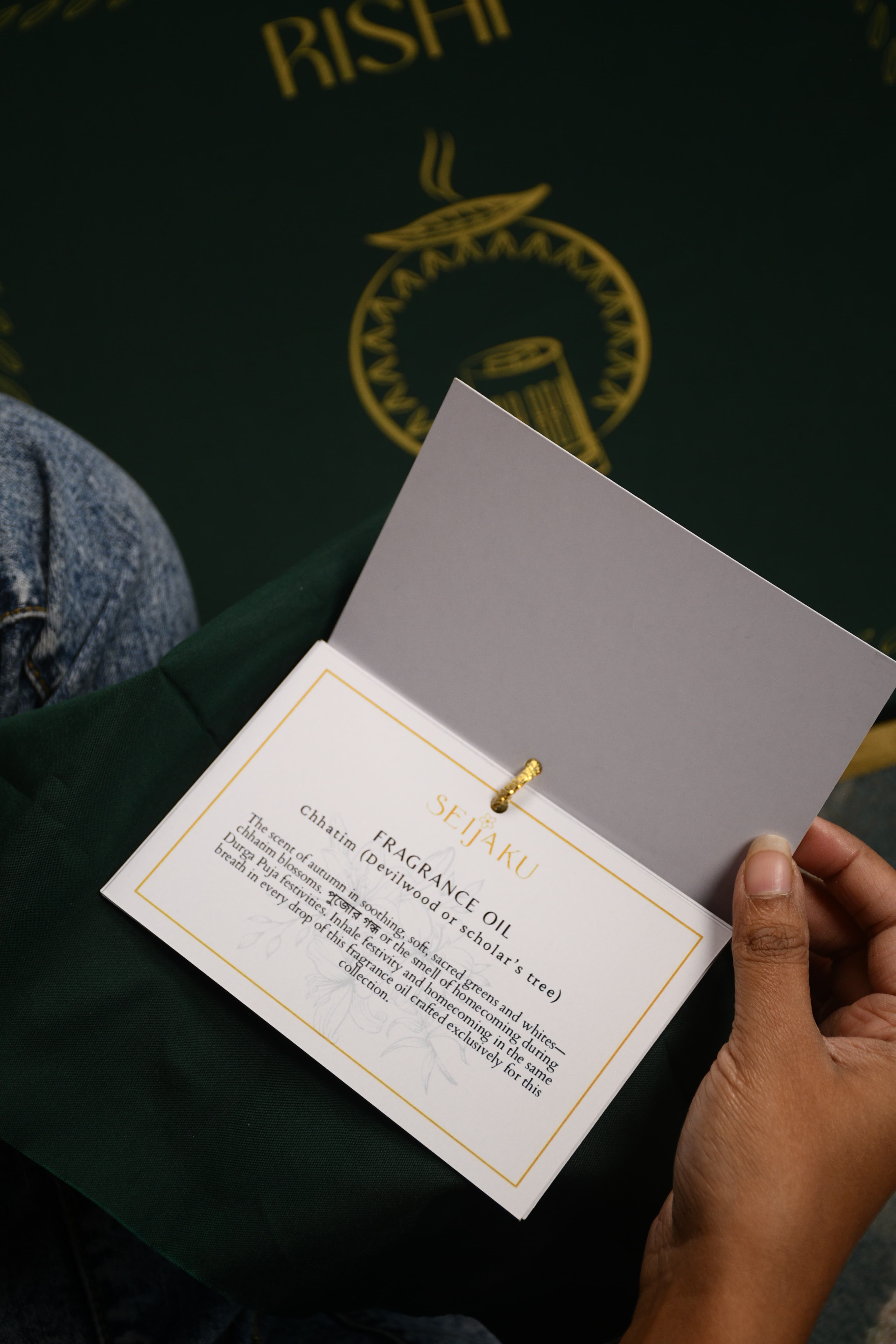 Soft winter light across objects arranged in a calm interior.